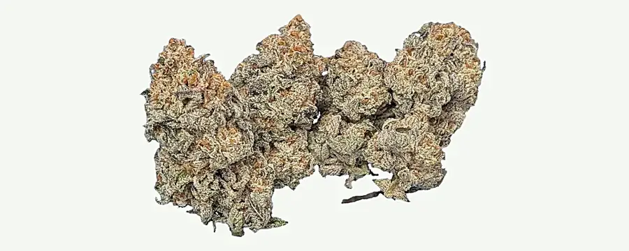 Dante&rsquo;s Inferno dried flower buds