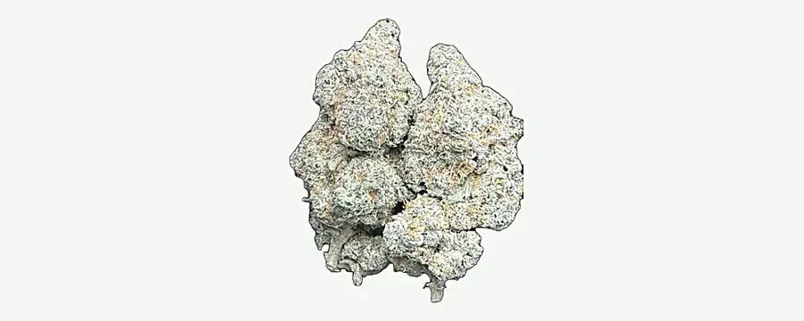 White Widow OG dried flower buds